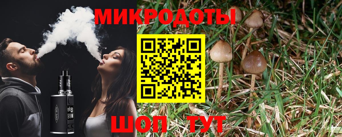 Павловский Посад  Галлюциногенные грибы Magic Shrooms  Вход с VPN 