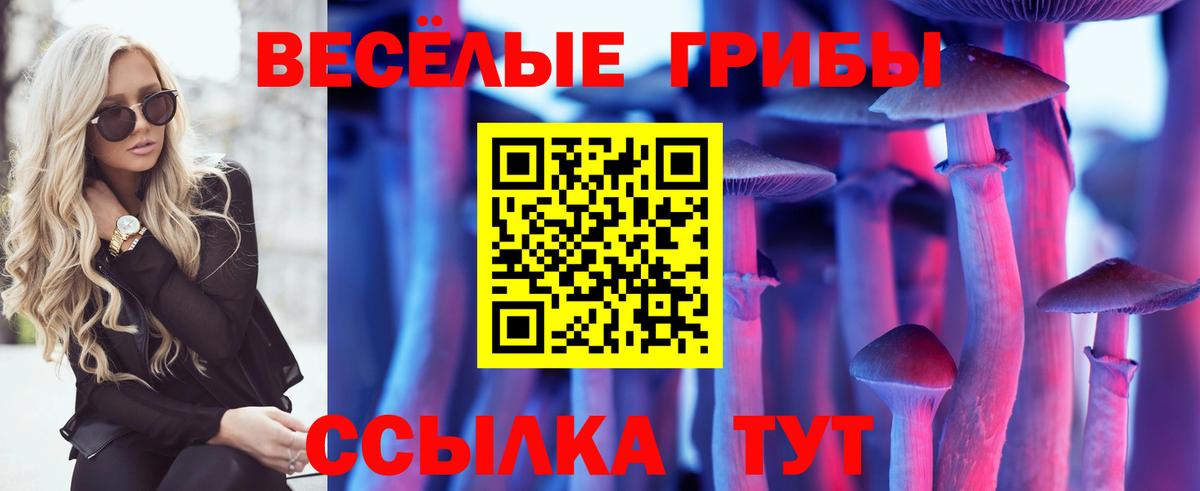 Псилоцибиновые грибы Psilocybe Павловский Посад